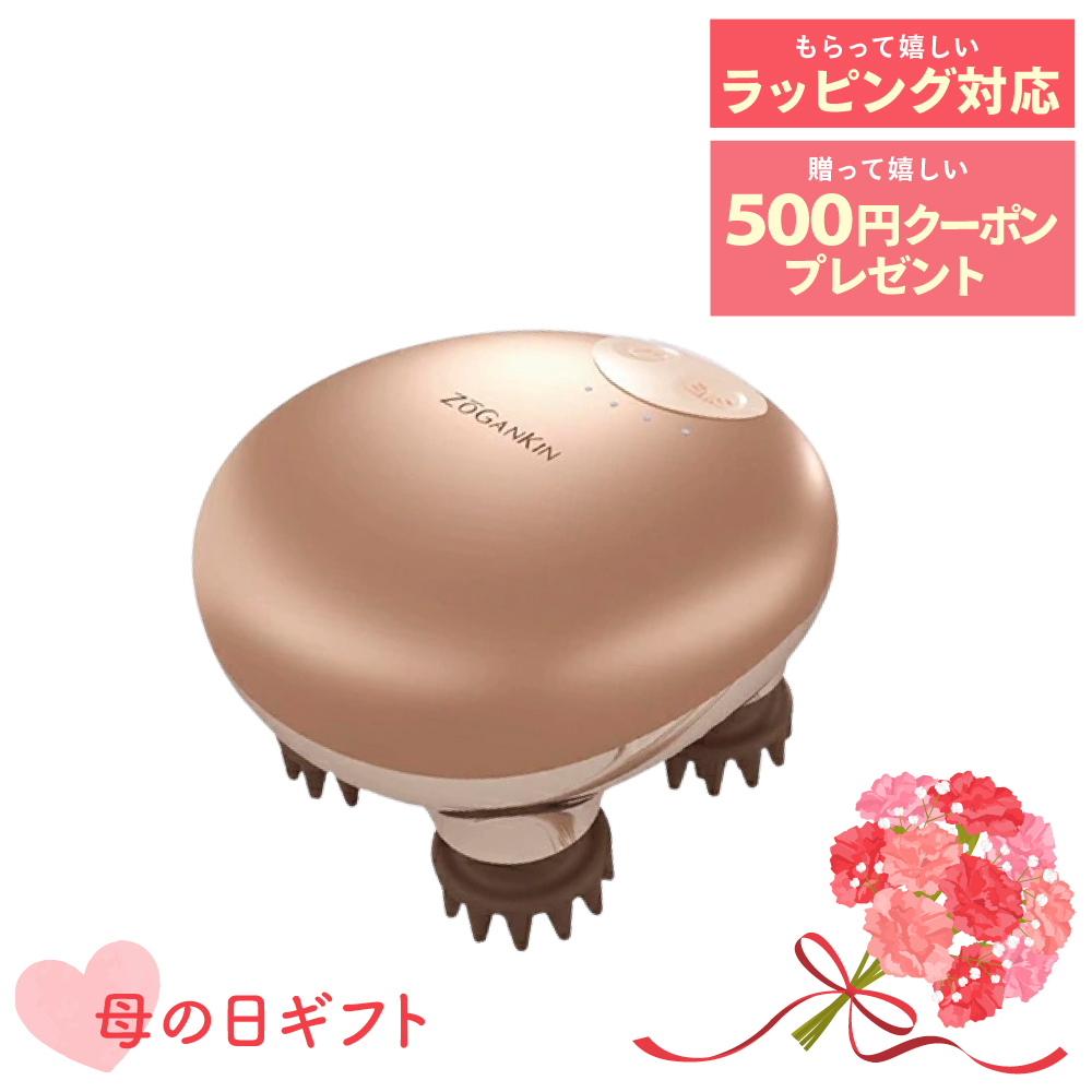【母の日ギフト】ゾーガンキンスカルプ
