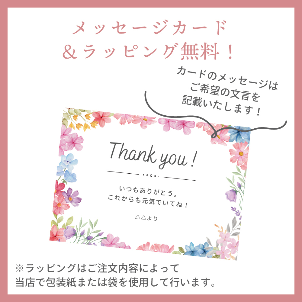敬老の日CP】ナチュラルシャンプー 300mL [リノセント] ｜ レイ